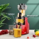 Juicer Extractor Machine Electric Fruit Slow Masticating Juicer Blen, Kic