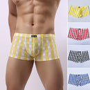 Men Cotton Underwear Loose Boxer (4Pcs in box)