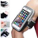 Bundle of Earbuds/Smart bracelet and Armband