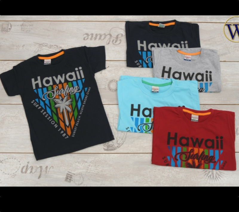 Hawai T-shirts lessure