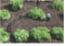 RAIN BOX System (Complete Kit)